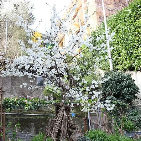 La Casa Del Barbarossa דירה *